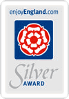 Silver award
